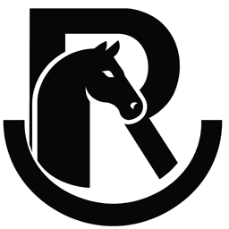 Robinson Excavation